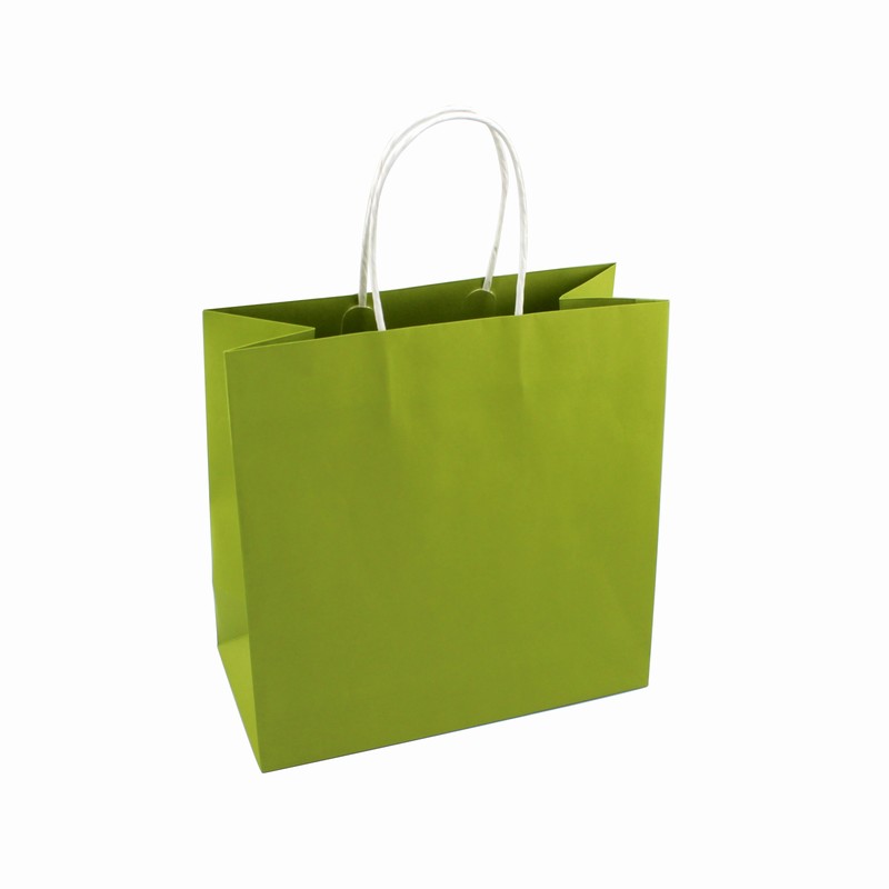 Luxury Paper Bag