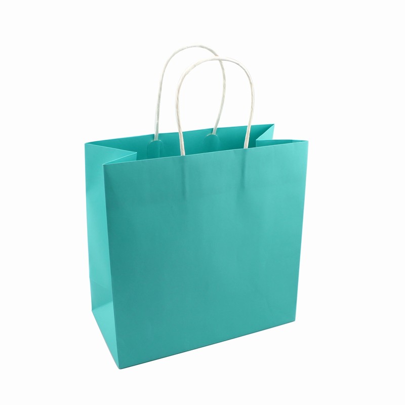 Luxury Paper Bag